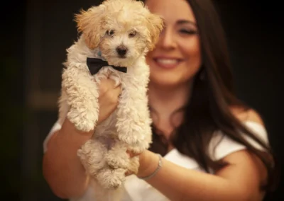 Scottsdale-Phoenix-Pet-Animal-Photography